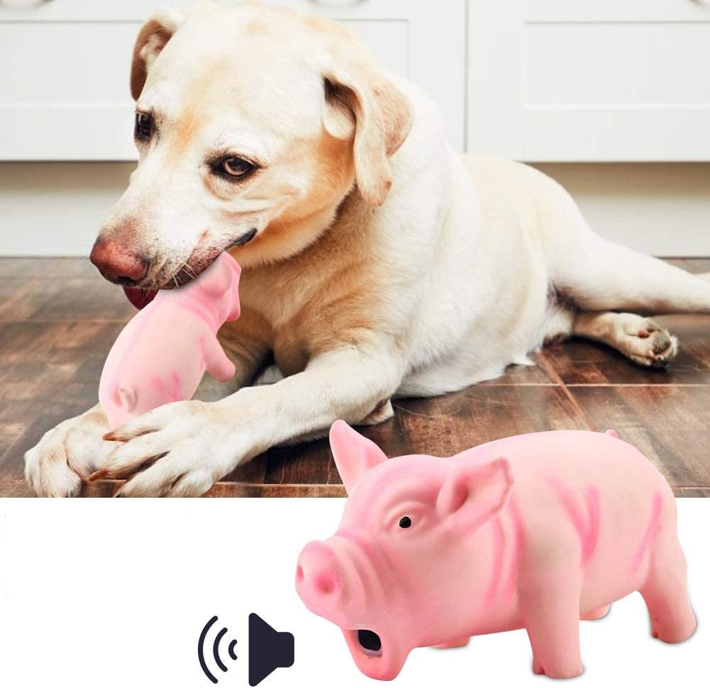 Cochon à mâcher