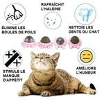 Boule d'Herbe à Chat Rotative