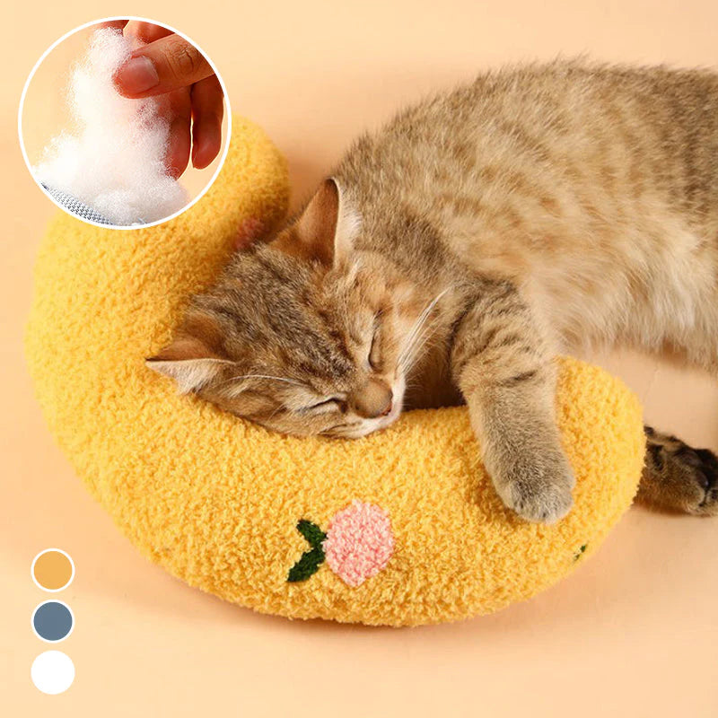 Oreiller pour chat