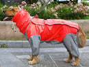 Imperméable pour chien