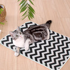 Tapis triple absorption chien