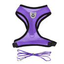 Harnais et sa laisse pour chat