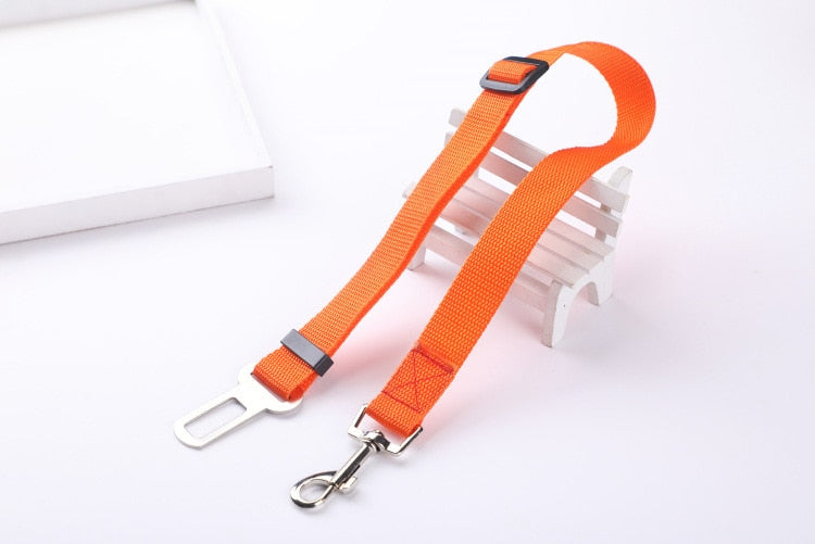 Ceinture de sécurité pour chien