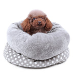 Cozy Réconfortant