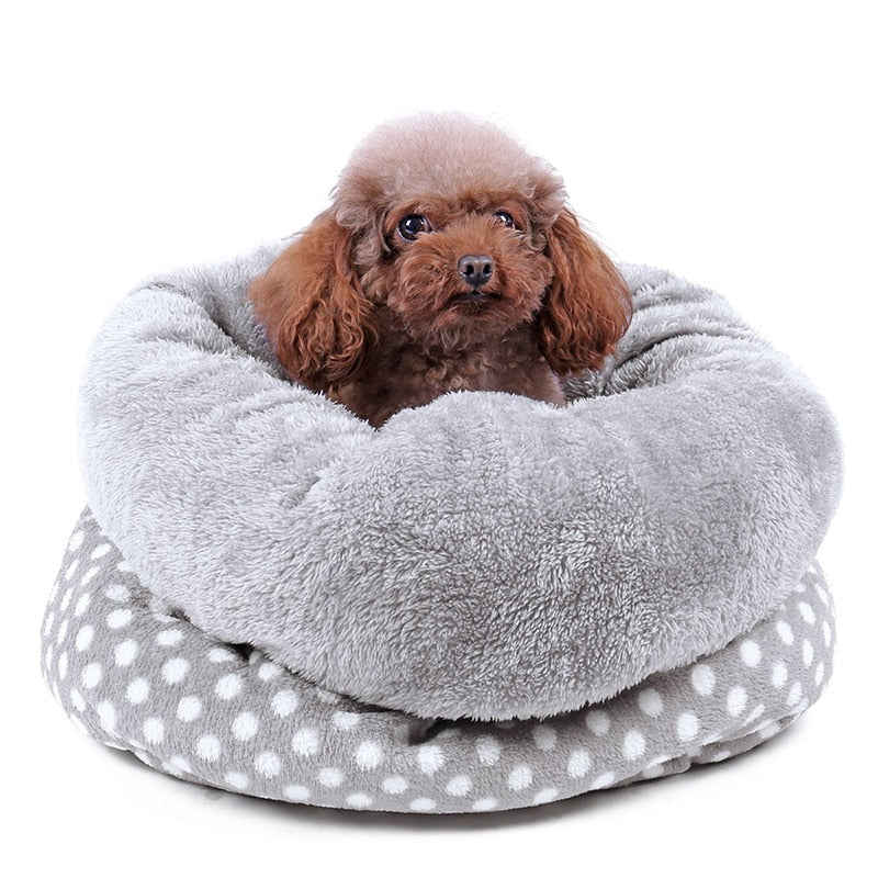Cozy Réconfortant