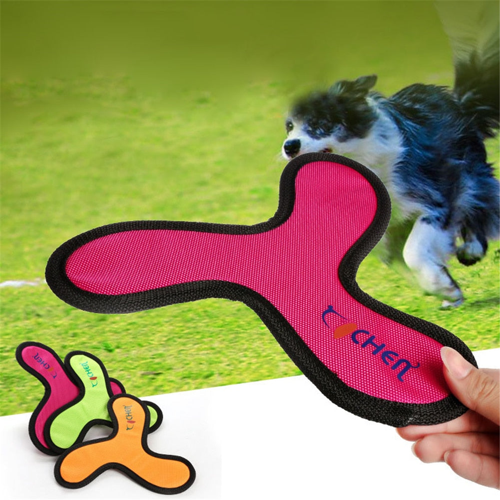 Frisbee