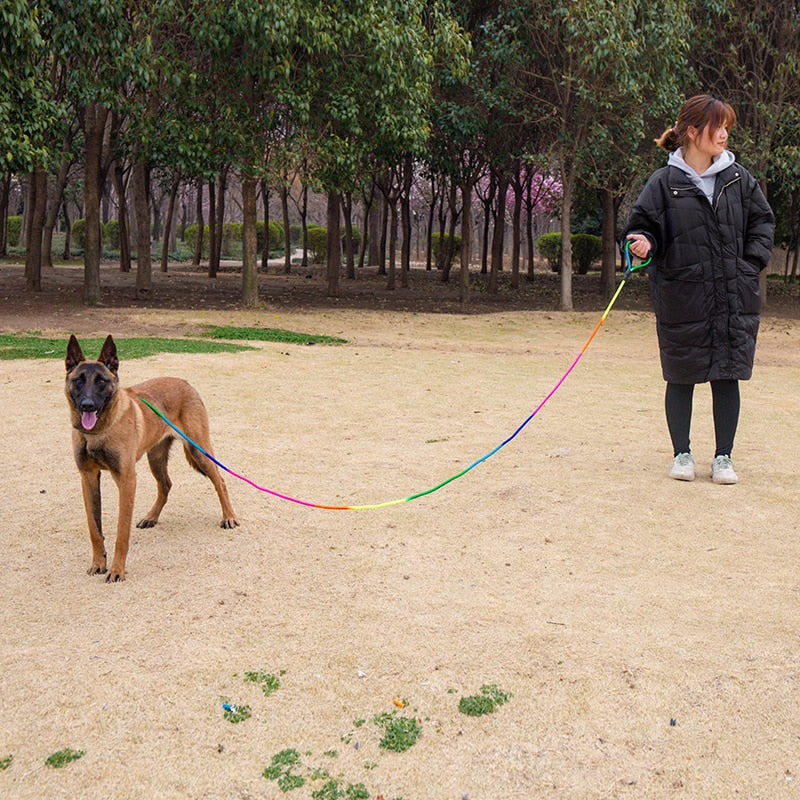 Longe d'éducation chien prise en main optimale