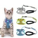 Harnais à Nœud pour Chat