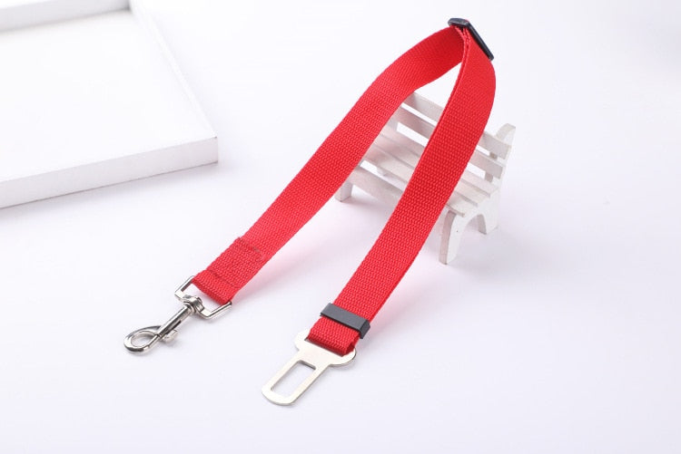 Ceinture de sécurité pour chien