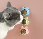 Boule d'Herbe à Chat Rotative