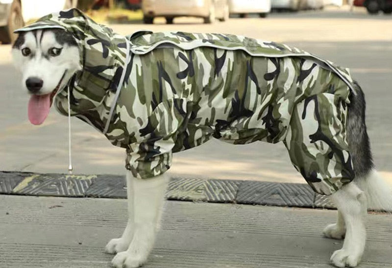 Imperméable pour chien