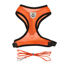 Harnais et sa laisse pour chat