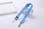Ceinture de sécurité pour chien
