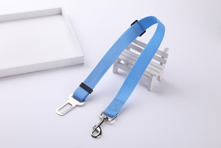 Ceinture de sécurité pour chien