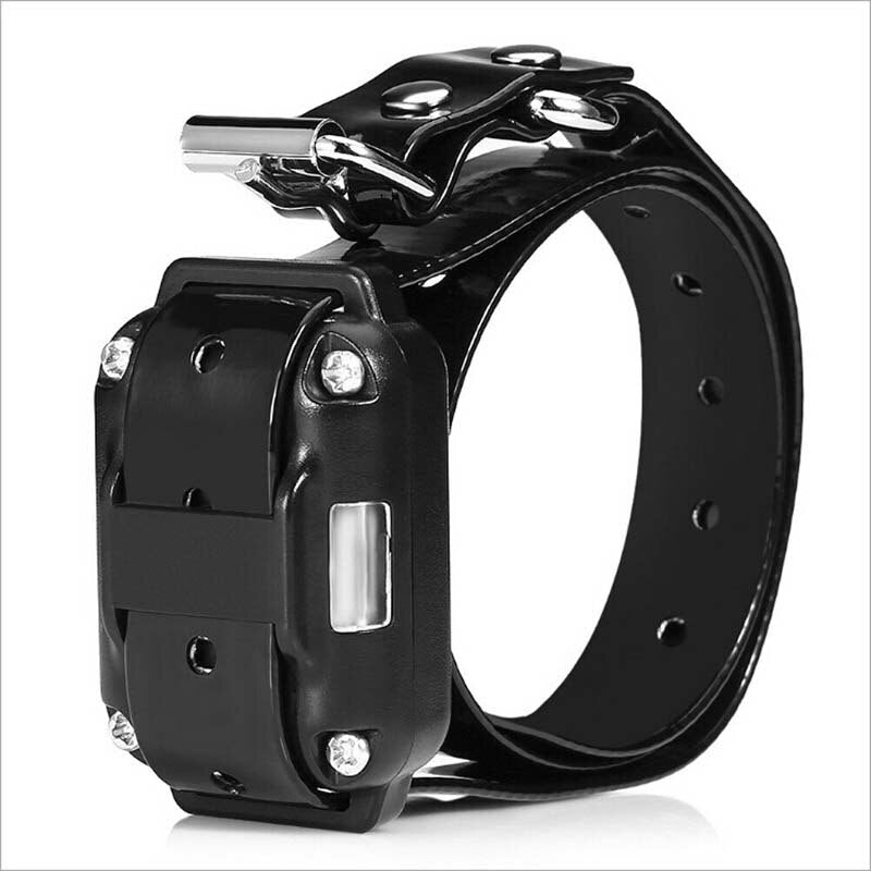 Collier de dressage chien