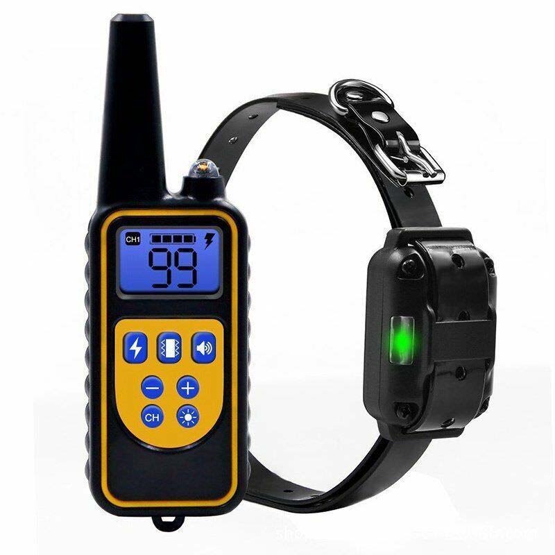 Collier de dressage chien