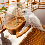 Mangeoire à Oiseaux Design