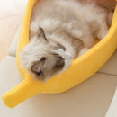 CozyBanana : Le coussin exotique
