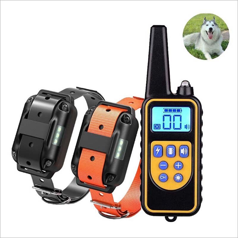 Collier de dressage chien