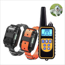 Collier de dressage chien