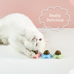 Boule d'Herbe à Chat Rotative
