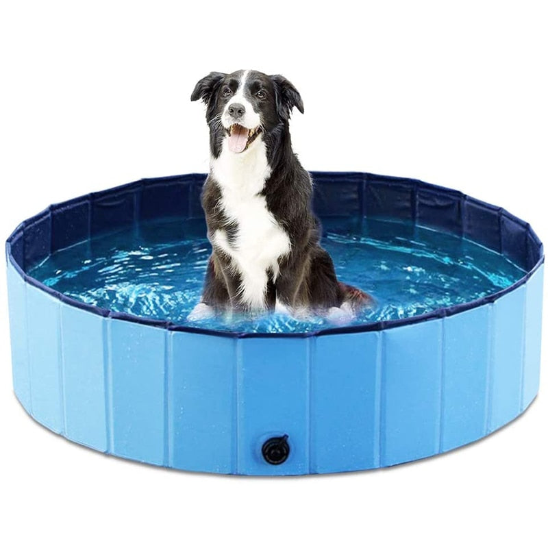 Dog pool
