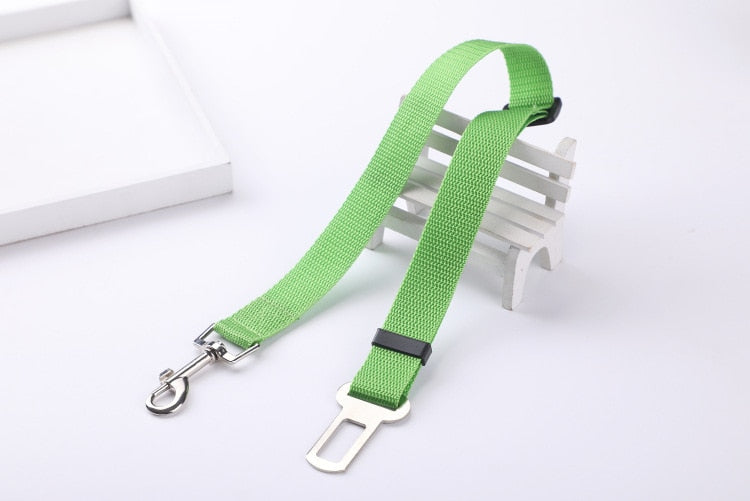 Ceinture de sécurité pour chien