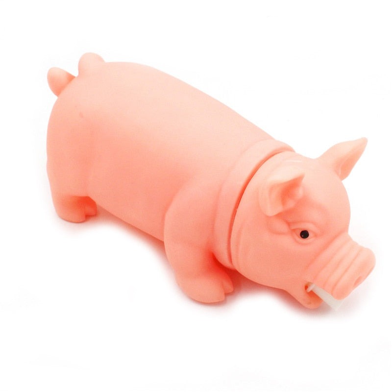 Cochon à mâcher