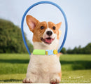 Collier Anti Collision Chien Handicapé