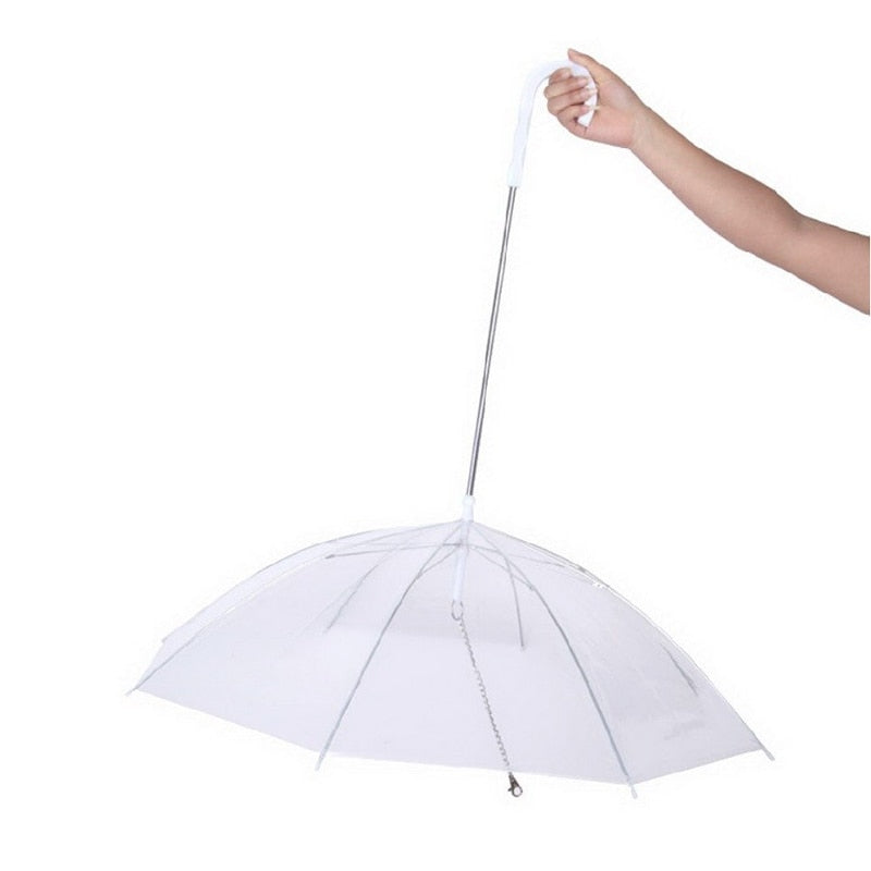 Laisse Parapluie