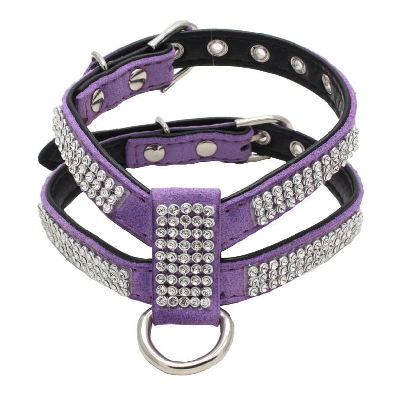 Harnais à Strass