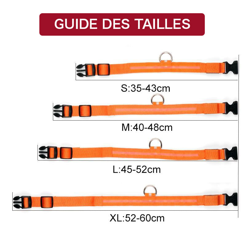 Collier éclairage LED waterproof