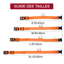 Collier éclairage LED waterproof