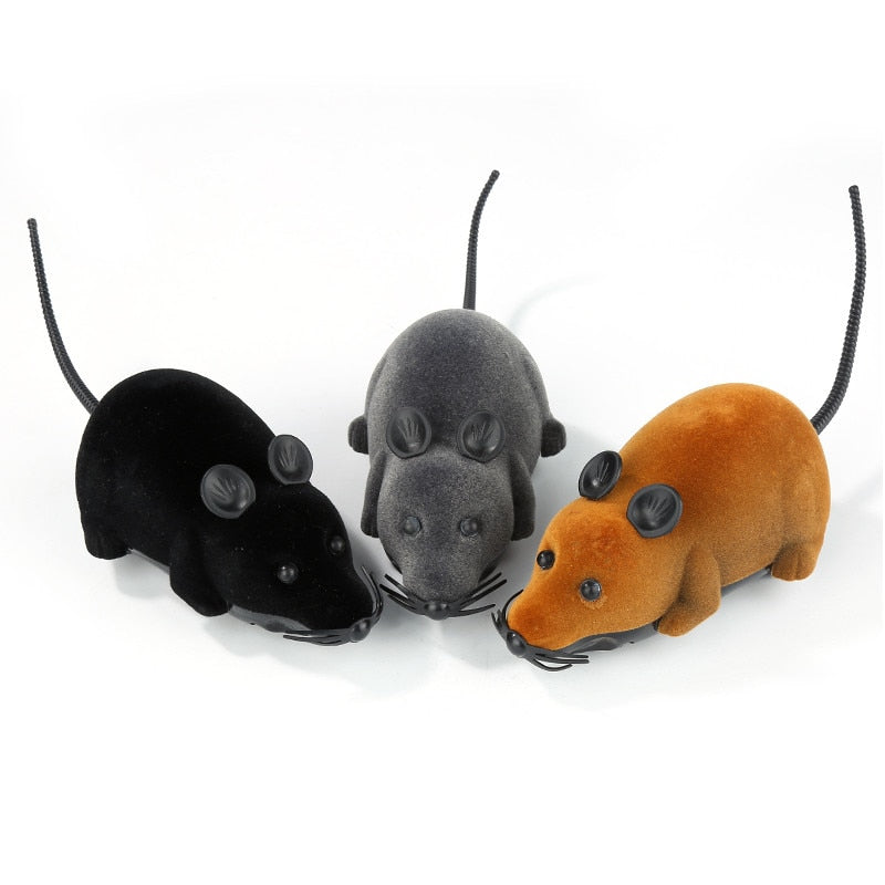 Jouet chat Souris télécommandée