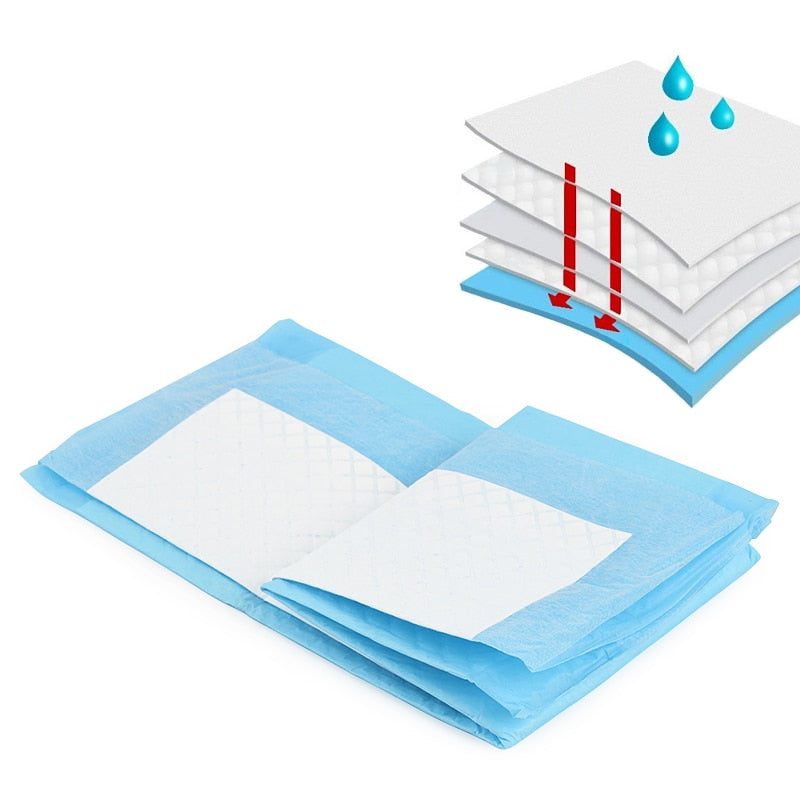 tapis absorbant éducatif chien