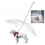 Laisse Parapluie