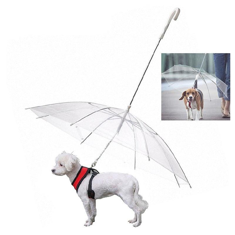 Laisse Parapluie