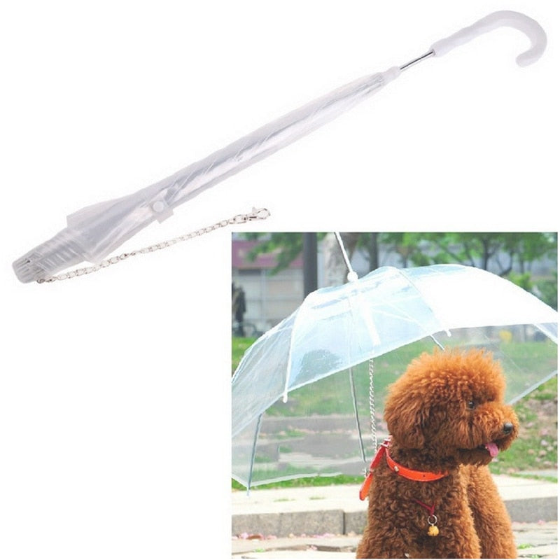 Laisse Parapluie