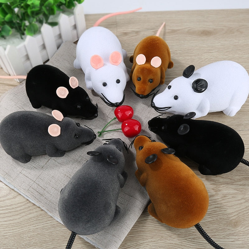Jouet chat Souris télécommandée