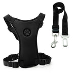 Ceinture de sécurité + harnais