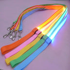 Laisse LED