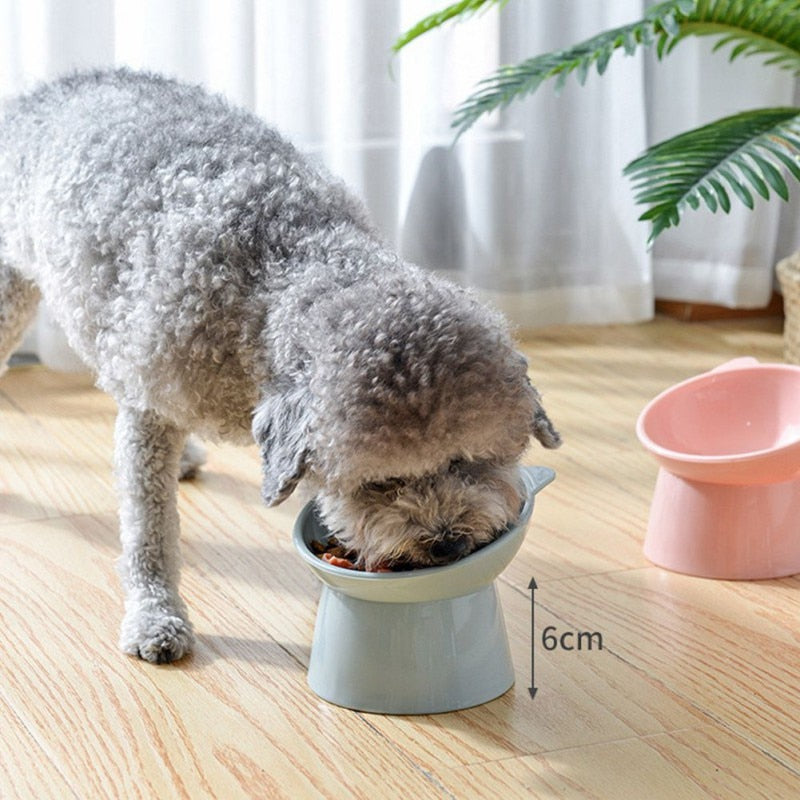 Bol tête de chat