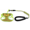 Harnais à Nœud pour Chat