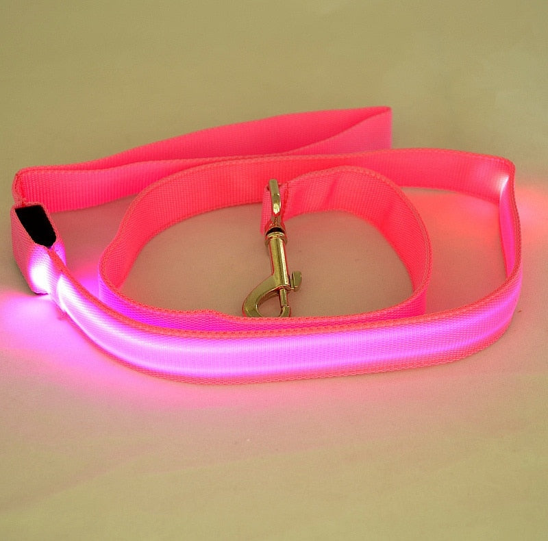Laisse LED