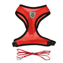 Harnais et sa laisse pour chat