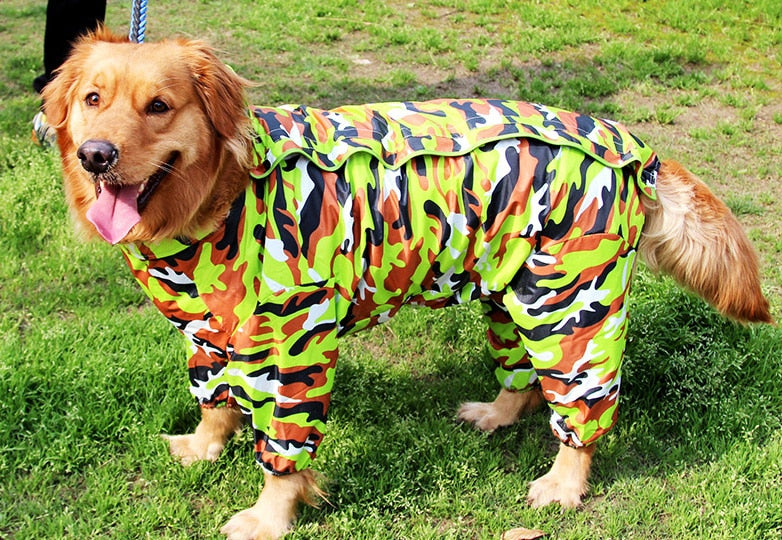 Imperméable pour chien