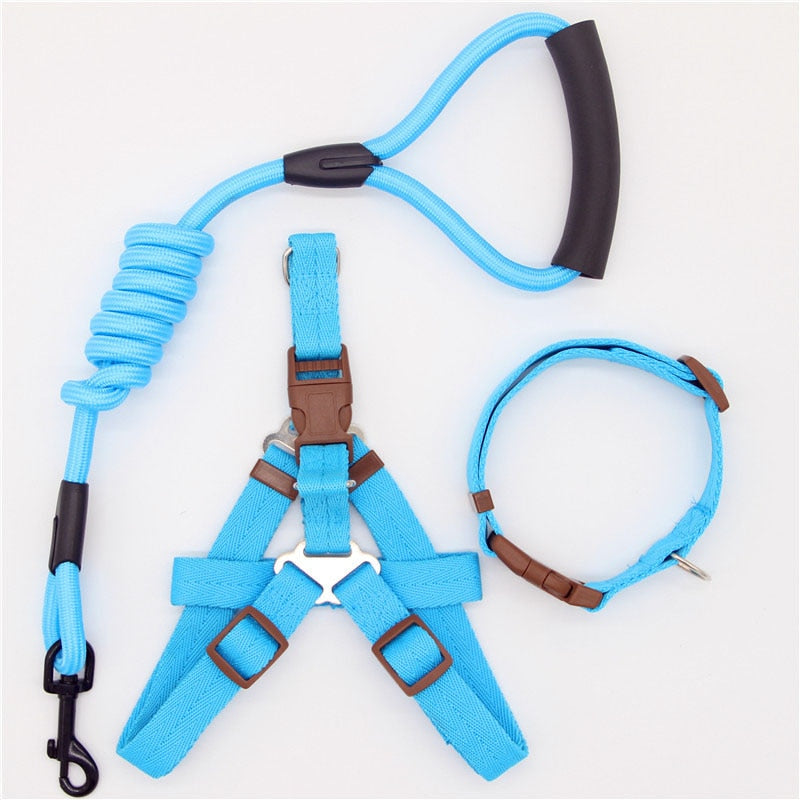 Laisse harnais collier chien