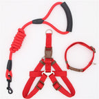 Laisse harnais collier chien