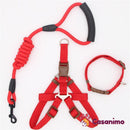 Laisse harnais collier chien
