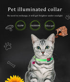 Collier Fluorescent